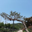 소래소공원 | 경기도 시흥시 소산서원에서 ‘소래산’ 에 오르고 인천 ‘만의골’로 내려와서 2022년 5월 24일