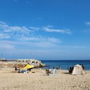 동북민박 이미지