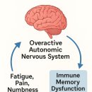 미토셀의원 | 💊 왜 항암치료 후엔💉 수액도 안 듣고⚡ 기운이 안 돌아올까?— 🦶 감각저하 · 발저림까지✨ 회복된 통합...
