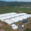 세아 카카오 검색결과