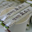 행복한 효소해독