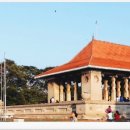 실론농장 이미지