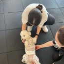 젠틀레이디짐 PT&필라테스 청라점 이미지