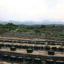 부산농장 이미지