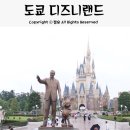 주식회사 시마앤컨스트럭션 | 도쿄 자유여행 | 도쿄 디즈니랜드 비오는날 후기(패스트패스/ 놀이기구 팁)