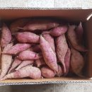 경일카서비스