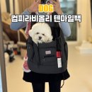 텐마일 | 강아지 이동가방 추천 컴피라비올리 텐마일백 L 차콜 내돈내산 후기