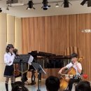 바이올린 (A) NEW 이미지