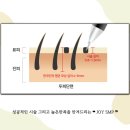 조이에셈피