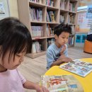 금천구립금나래도서관 | 26년 여름. 금천구립 금나래도서관 - 화려한 서서울미술관과 금천구청 옆 작은 쉼터같은 도서관