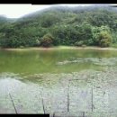 봉곡낚시터 이미지