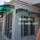 제주캐노픽스 이미지