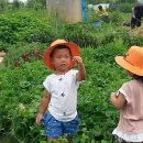 태선농장 이미지