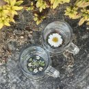 나만의 핸드메이드 선물만들기(5월) | 부산 핸드메이드공방 플레리르블랑 압화 소주잔 만들기 체험 후기