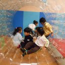 챌린저복싱클럽 이미지