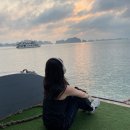 NR-22[동주로]-하-120 | 하노이 DAY5 🇻🇳 다시는 하롱베이를 무시하지 마라! 하롱베이 일일투어/ 티톱섬/ 송솟동굴/ 포틴쌀국수...