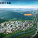 새(고경) 이미지