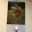 화지회관식육식당 이미지