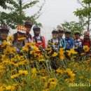 [부평지부]대부도 주행 다녀와서... 이미지