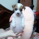 나의 마음은 어두운 숲