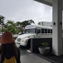 괌 돌핀투어 후기 (파란크루즈, 1부 오전 8시 출발)