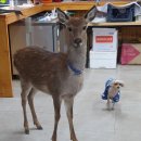 양지농장2 이미지