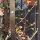 초원약국 이미지