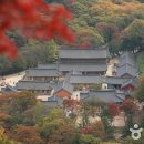 단풍스테이 이미지