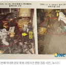 [한국의 미집행 사형수들] ②강호순 ”그냥... 죽이고 싶은 날이 있어요” 이미지