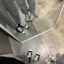 (주)파닥파닥