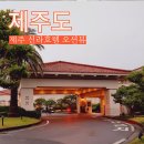 오션 | 제주 신라호텔 디럭스 더블룸 오션뷰 호캉스 후기