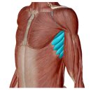 보나PT&PILATES | [금곡동PT/호매실PT] 고관절과 어깨관절에서의 찝힘?