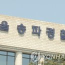 여 대리기사 테슬라 급발진 사고 이미지