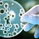 새로운슈퍼 이미지