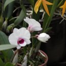 월평농장 이미지