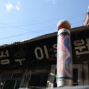 대지이용원 이미지
