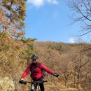 운곡면사무소 | [의령군 운곡면, 궁류면] 우봉산, 매봉산, 응봉산, 한우산 임도 라이딩 후기