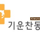 기운찬 동물병원 네이버블로그