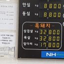 서귀포시축산업협동조합축산물플라자 이미지