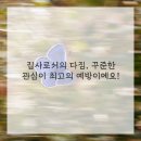 광주동물병원 네이버블로그
