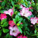 은혜병원 이미지