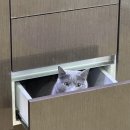 (주)우리119이엠에스 | 생후 113~119일차 육아일상 / 첫 명절, 뒤집기 성공, 스플라스 리솜 여행