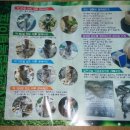 한농접목테이프 이미지