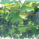 농기계공작실 이미지