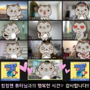 킹사이클 이미지