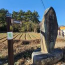 ＜거류산＞- 경남 고성군 "기암 명산"~巨流山 6월 7일 ＜200명산-128회차＞ 남해 바다 기암과 풍광 탐사, 이미지