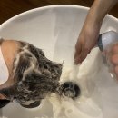 부산 미용실 에코레비헤어앤스파 해운대센텀점 천연아베다염색 후기