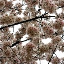 승학체육공원 이미지