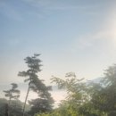 미숭산자연휴양림 | 미숭산자연휴양림 숲속의집 자작의집1 숙박후기