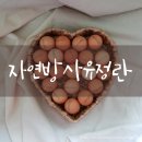 우촌농장 이미지